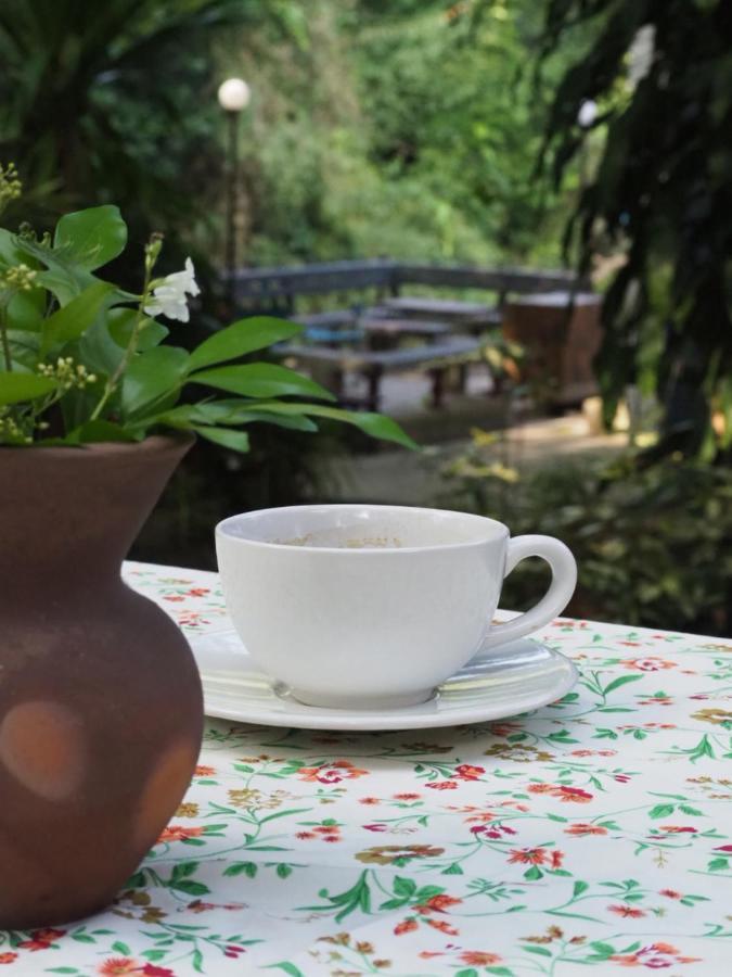 Chomklong Experience Bed & Breakfast Pak Chong Eksteriør bilde